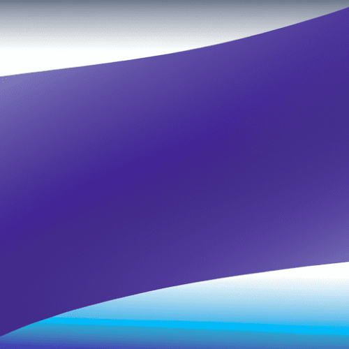 Official Translation Services for Web Terms of Use, Privacy Policies, and Legal Disclaimers